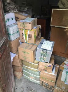 張金寶攜金財咨詢踐行社會責(zé)任，共筑鄉(xiāng)村教育未來——記“鄉(xiāng)村學(xué)校圖書室手拉手行動”